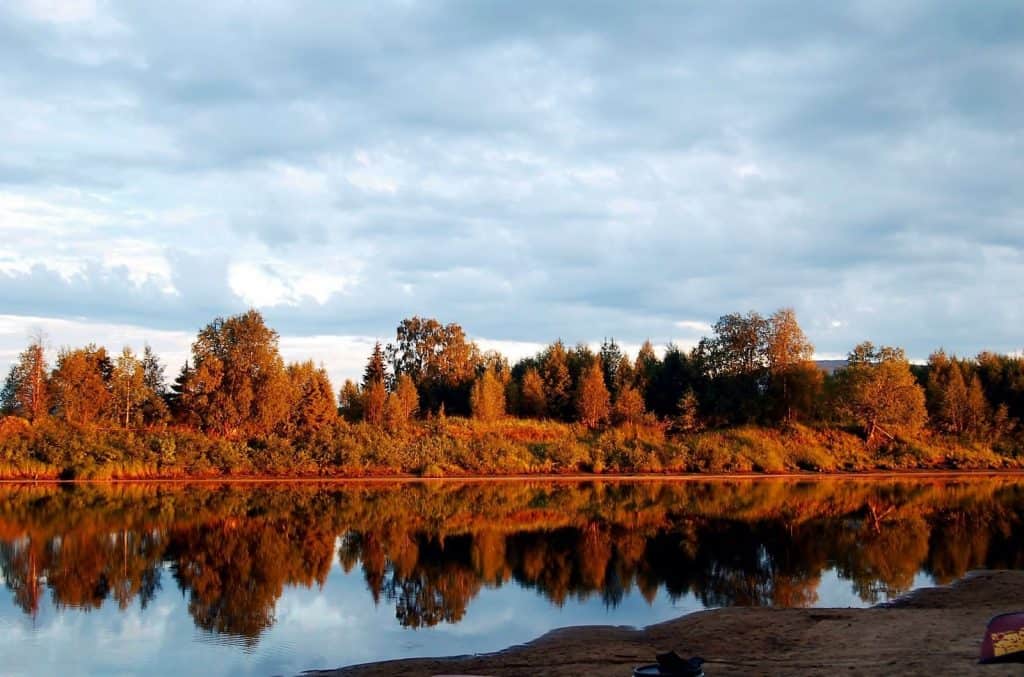 Beautiful forest reflection on a tranquil lake with vibrant sunset tones and cloudy sky.